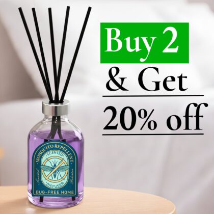 Buy 2 & Get 20% OFF